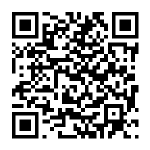 【PC】全职猎人NEN×IMPACT V1.4.1 豪华中文版+新角色桀诺DLC+全DLC+预购特典+季票+支持手柄-电玩纪元