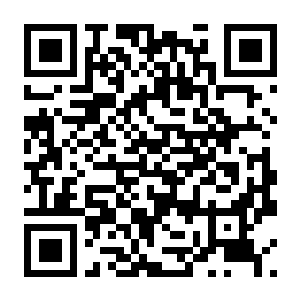 【PC】晕晕电波症候群 v1.1.0 豪华中文版+全DLC-电玩纪元