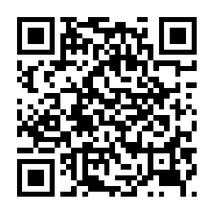 【PC】佩布尔骑士 Build.24179124 豪华中文版+全DLC-电玩纪元