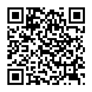 风启之旅 v0.10.0.40 单机+联机 中文版-电玩纪元