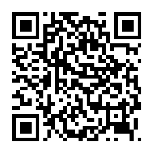 【PC】夺海奇航 Build.24329680 官方中文版+全DLC-电玩纪元