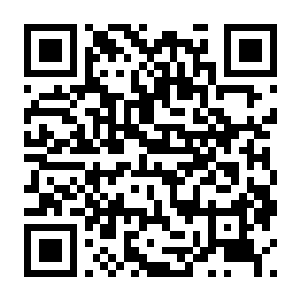 深红誓言 v20260430 中文版(融合了只狼,黑魂,老头环,血源的缝合)-电玩纪元