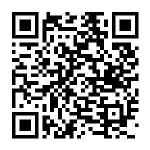 梦之形 Build.22291018 豪华中文版+全DLC-电玩纪元