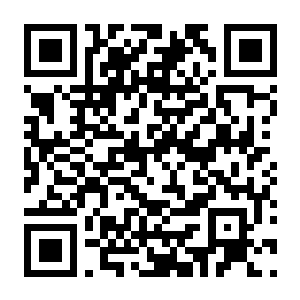 拿破仑:全面战争 v1.3 最新中文收藏版 打包xgq 存档-电玩纪元