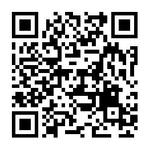 杜里亚诺 Build.23191358 官方中文版+全DLC（Duriano）-电玩纪元