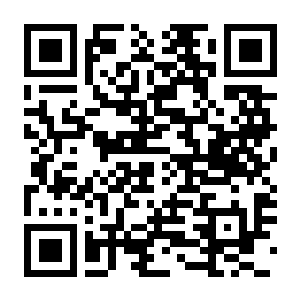 【PC】团战经理2 Build.24451609 豪华中文版+全DLC（团队对战经理2）-电玩纪元