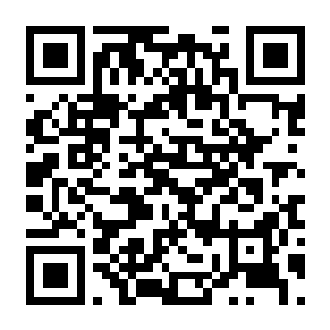喵门镖局 v0.4.0 支持者版 官方中文版+全DLC-电玩纪元