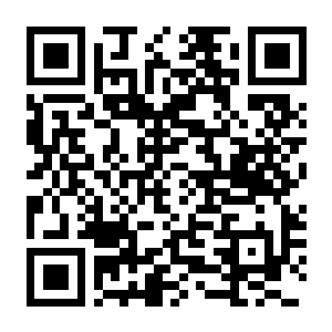 【PC】暗黑地牢 Build.24960041 官方中文版+修改器+4周解锁存档 容量3.78GB（Darkest Dungeon）-电玩纪元