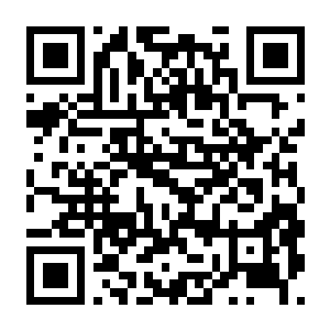 脑叶公司 原版+MOD版 v1.0.2.13f1-电玩纪元