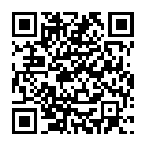 战术扫雷:肉鸽Plus 官方中文版+全DLC-电玩纪元