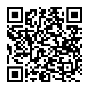 符文工房 龙之天地 Build.22744689 豪华中文版+全DLC+预购特典+季票+修改器+支持手柄-电玩纪元