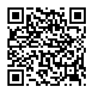 与舰同沉 Build.23266546 官方中文版+全DLC(Down with the Ship)-电玩纪元