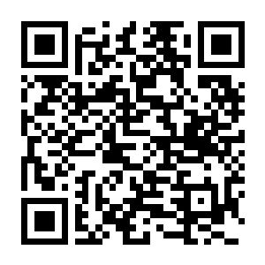 钢铁动脉：列车城市建造者 v1.0.5 官方中文版+全DLC-电玩纪元