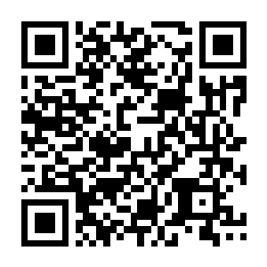 【PC】几度相逢若初见 Build.23335599 官方中文版+全DLC(NICE TO MEET YOU AGAIN)-电玩纪元