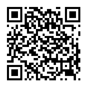 【PC】恐怖黎明 决定版 Build.24346246 含阿斯特坎之牙DLC+官方中文版+全DLC-电玩纪元