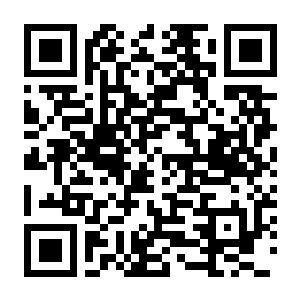 点击炼金术 v1.0.9 官方中文版+全DLC-电玩纪元