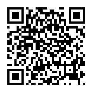 【PC】钢铁巨像 机甲觉醒 官方中文版-电玩纪元