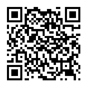 露玛岛 海盗 v1.1.9.26376 中文版+联机+全DLC 新增鼠标控制和修复洞穴-电玩纪元