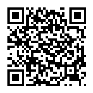 黑神话：悟空 v1.0.21.23831 豪华中文版 全DLC+修复补丁-电玩纪元