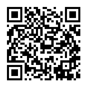 【PC】迷雾计划 Build.23370550 官方中文版+全DLC（Project Mist）-电玩纪元