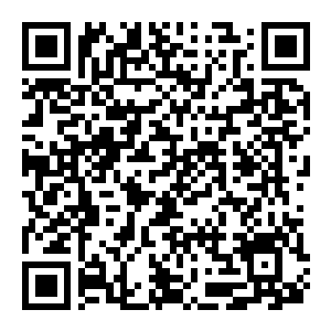 图片[2]-【修改器】云族裔inZOI-电玩纪元