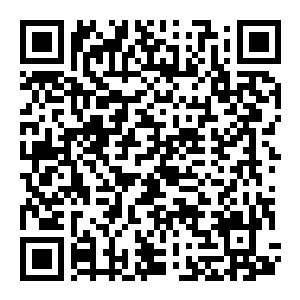 【PC】太吾绘卷：天幕心帷 Build.25691490 官方中文版+多项修改器 容量19GB（The Scroll of Taiwu：Beyond The Dom）-电玩纪元