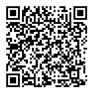 图片[2]-【修改器】死亡细胞-电玩纪元