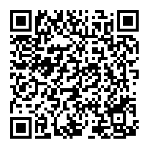 图片[2]-【修改器】群星-电玩纪元