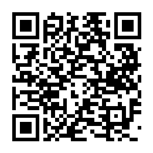【PC】潜水员戴夫 v1.0.6.2113 官方中文版+多项修改器 容量6.57GB（DAVE THE DIVER）-电玩纪元
