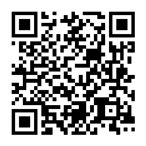 【PC】失落的希望:后室 v2.12 中文版-电玩纪元