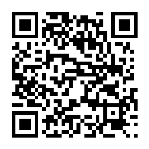 【PC】X4:基石/别名X4:基奠 豪华中文版+亥伯龙扩展包DLC+全DLC(X4:Foundations)-电玩纪元