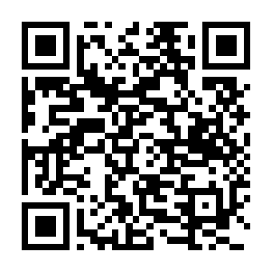 【PC】晶灵小队 v26.06.25 官方中文版+全DLC-电玩纪元