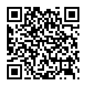 【PC】异能小猪 Build.23786152 官方中文版+全DLC-电玩纪元