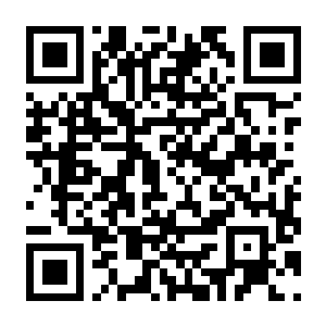 【PC】妖精的尾巴 地下迷城 V1.2.16+全DLC-电玩纪元