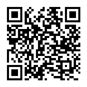 【PC】感谢你的投递 v1.0.1 官方中文版+全DLC-电玩纪元