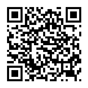 【PC】森灵旅社 v26.06.23 官方中文版+全DLC-电玩纪元