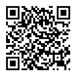 【PC】巨石岛 v1.0.12 官方中文+全DLC-电玩纪元