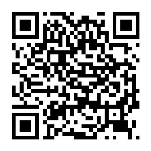【PC】东方侵蚀：乐园堕落巫女 Build.23649331 豪华中文版+全DLC（Touhou Erosion Fallen Shrine Maiden）-电玩纪元