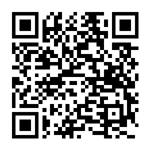 【PC】军火修仙 Build.23786004 官方中文版+全DLC-电玩纪元