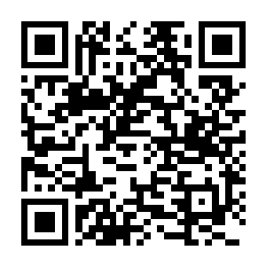 【PC】浣熊推币机 v1.0.24 豪华中文版+预购特典+全DLC-电玩纪元