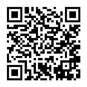【PC】汽车经销商模拟器 v0.1.0.0.5272 新加DLC由你做主 豪华中文版 全DLC-电玩纪元