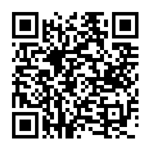 【PC】街头霸王6 第4年 战士版 Build.23395122 豪华中文版+全DLC+预购特典+支持手柄-电玩纪元