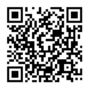 【PC】展翅翱翔 v1.8.1156 官方中文版+英国鸟类DLC+全DLC-电玩纪元