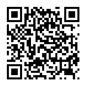 【PC】东方幕华祭 春雪篇 Build.25150158 官方中文版 容量408MB(TouHou Makuka Sai ~ Fantastic Danmaku Festival Part II)-电玩纪元