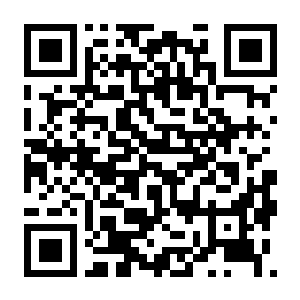 【PC】公路警察模拟器 Build.23353624 豪华中文版+特警队卡米诺拉警署DLC(Highway Police Simulator)-电玩纪元