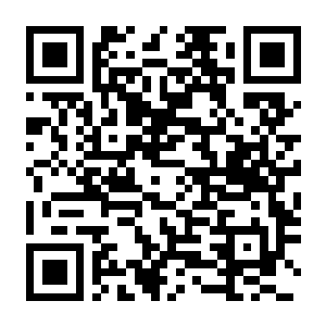【PC】【PC】圣火守望者 共筑防线 Build.24151510 官方中文版+全DLC(Sineus Arena Survivors)-电玩纪元