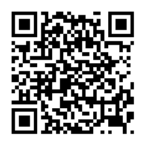 【PC】猎人公会 Build.23567032 豪华中文版+全DLC-电玩纪元