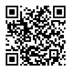 【PC】秋叶原盲盒店模拟器 Build.24051960 官方中文版+全DLC-电玩纪元