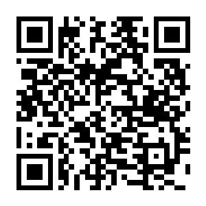 【PC】皇帝与社稷 Build.23832692 中字国语+支持者DLC-电玩纪元