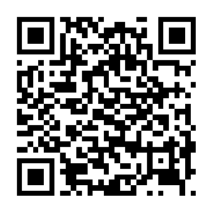 【PC】罗马之城 Build.23915875 官方中文版+全DLC(Nova Roma)-电玩纪元